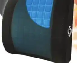 Big 5 Samsonite Back Support Lumbar Pillow offer