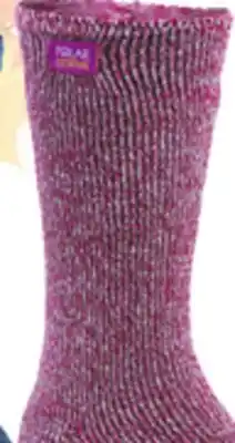 Big 5 Gold Medal Polar Extreme Women's Thermal Socks offer