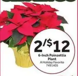 Stop&Shop 6-Inch Poinsettia Plant offer