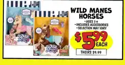 Ollie's WILD MANES HORSES offer
