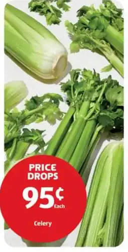 Aldi Celery offer