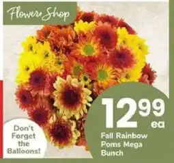 Safeway Fall Rainbow Poms Mega Bunch offer
