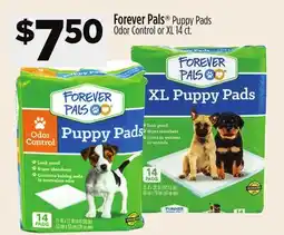 Dollar General Forever Pals Puppy Pads Odor Control or XL offer