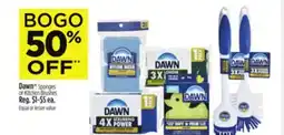 Dollar General Dawn Sponges or Kitchen Brushes offer