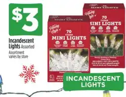 Dollar General Incandescent Lights offer