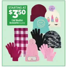 Dollar General Cold Weather Accessories offer