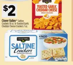Dollar General Clover Valley Saltine Crackers or Toasted Garlic Cheddar Cheese Crackers offer