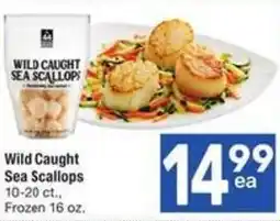 Albertsons Wild Caught Sea Scallops offer