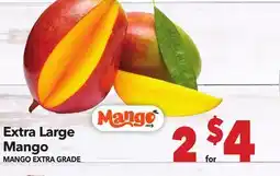Vallarta Supermarkets Extra Large Mango / MANGO EXTRA GRADE offer