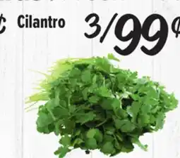 El Super Cilantro offer