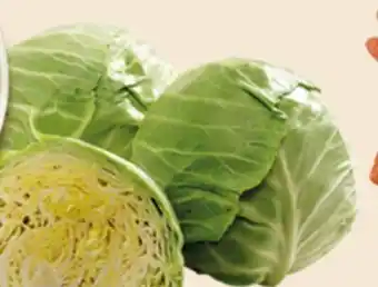 El Super GREEN CABAGGE offer