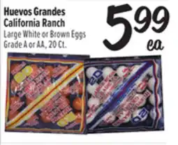 El Super Large White or Brown Eggs offer