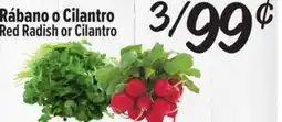 El Super Fresh Red Radish or Cilantro offer