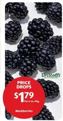 Aldi Blackberries offer