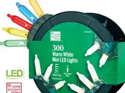 The Home Depot HOME ACCENTS HOLIDAY 300-Light LED Mini Set offer