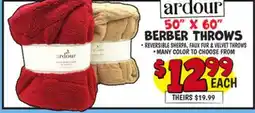 Ollie's ARDOUR 50 X 60 BERBER THROWS offer