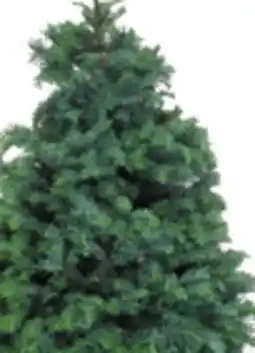 The Home Depot 3-4' Tabletop Tree offer