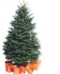 The Home Depot 6-7' NOBLE FIR offer