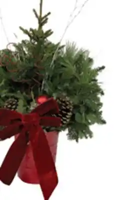 The Home Depot 8 GREENS PLANTER offer