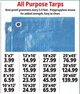 Ocean State Job Lot All Purpose Tarps offer