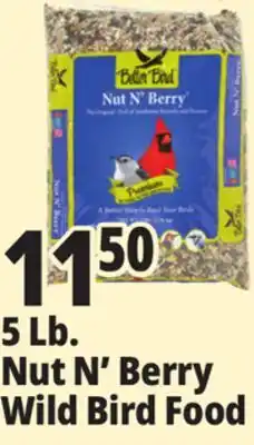 Ocean State Job Lot Better Bird Premium Nut N' Berry Bird Food 5 lbs offer