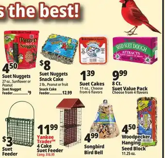 Ocean State Job Lot Suet Nuggets offer