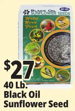 Ocean State Job Lot Black Oil Sunflower Seeds 40 lbs offer