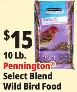 Ocean State Job Lot Pennington Premium Select Blend Bird Seed 10 lb offer