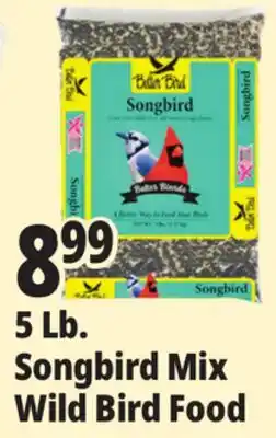 Ocean State Job Lot Better Bird Songbird Better Blends Food 5 lbs offer
