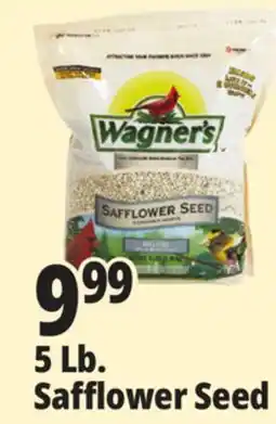 Ocean State Job Lot Wagner's Safflower Seed Deluxe Wild Bird Food offer