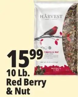 Ocean State Job Lot Harvest Seed & Supply Red Berry & Nut Wild Bird Food 10 lb offer