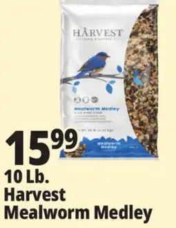 Ocean State Job Lot Harvest Seed & Supply Mealworm Medley Wild Bird Food 10 lb offer