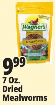 Ocean State Job Lot 7 oz. Dried Mealworms offer