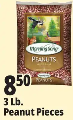 Ocean State Job Lot Morning Song Wildlife Food Peanuts 3 lbs offer