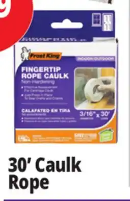 Ocean State Job Lot Frost King Indoor/Outdoor Fingertip Rope Caulk 3/16 x 30' offer