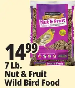 Ocean State Job Lot Pennington Ultimate Nut & Fruit Blend Wild Bird Seed 7 lbs offer
