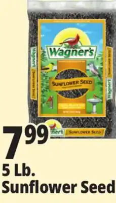 Ocean State Job Lot Wagner's Black Oil Sunflower Seed Wild Bird Food 5 lbs offer