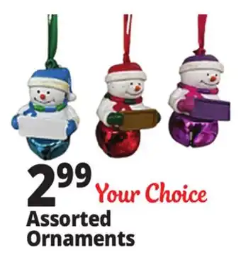 Ocean State Job Lot Assorted Ornaments offer