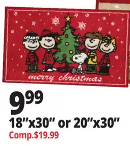 Ocean State Job Lot 18x30 or 20x30 Nourison Hand Hooked Rugs offer