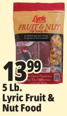 Ocean State Job Lot Lyric Fruit and Nut High Energy Wild Bird Food Mix 5 lbs offer