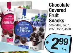 Menards Chocolate Covered Fruit Snacks offer
