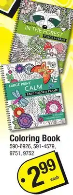 Menards Coloring Book offer