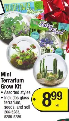 Menards Mini Terrarium Grow Kit offer