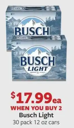 Fareway Busch light offer