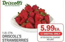 Kings Food Markets DRISCOLL'S STRAWBERRIES offer