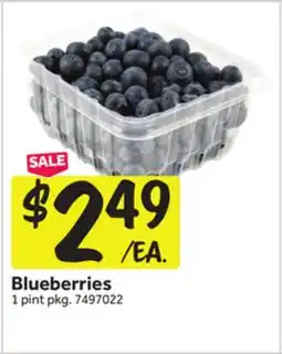 Stop&Shop Blueberries offer