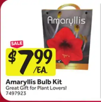 Stop&Shop Amaryllis Bulb Kit offer