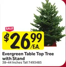 Stop&Shop Evergreen Table Top Tree with Stand offer