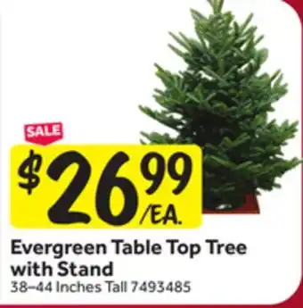 Stop&Shop Evergreen Table Top Tree with Stand offer