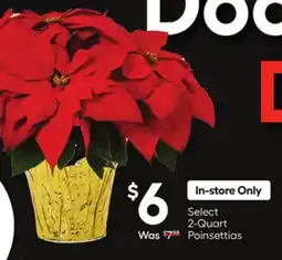 Lowe's Select 2-Quart Poinsettias offer